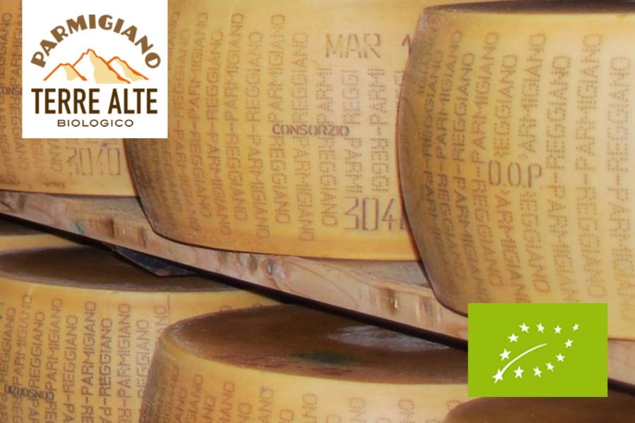 Parmigiano Reggiano Terre Alte Dop Biologico Di Sola Bruna Di Montagna 6977