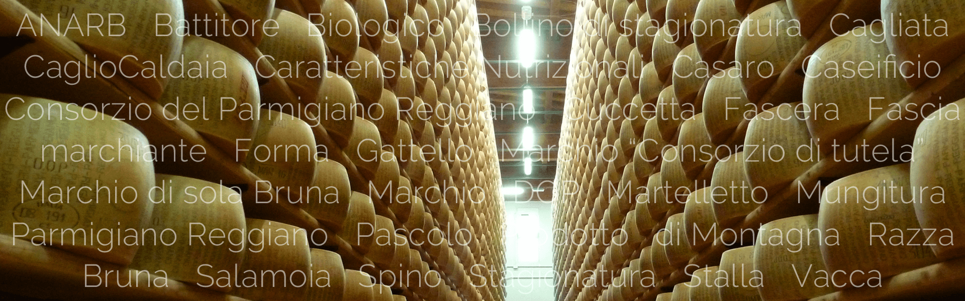 Glossario del Parmigiano Reggiano