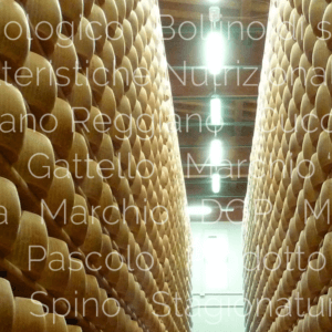 Glossario del Parmigiano Reggiano